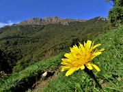 In RESEGONE, Punta Cermenati 1875 m, da Fuipiano-27sett22- FOTOGALLERY